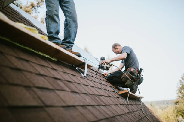 Best Roof Repair Services  in Auberry, CA